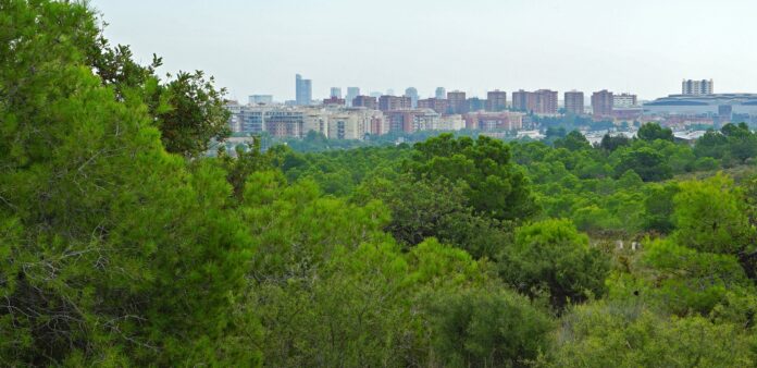 Des d’Acció Ecologista-Agró volem felicitar la Generalitat Valenciana per incloure Les Moles de Paterna (Horta Oest, València) dins del Parc Natural del Riu Túria, tal com contempla el Decret de Modificació del Pla d'Ordenació dels Recursos Naturals (PORN) del Túria. Tanmateix, per a millorar la proposta actual del PORN pel que respecta a la conservació i protecció de Les Moles, AE-Agró ha presentat una sèrie d’al·legacions i també un informe amb els valors mediambientals d’este paratge, que actualment es troba amenaçat pel projecte de centre comercial Intu Mediterrani.