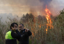 UGT denuncia la merma de bomberos en el Parque Natural del Turia este verano