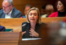 La Diputació insta al Gobierno de España a la aprobación de la ley contra la prostitución y la de violencia vicaria La Diputació insta al Gobierno de España a la aprobación de la ley contra la prostitución y la de violencia vicaria