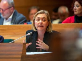 La Diputació insta al Gobierno de España a la aprobación de la ley contra la prostitución y la de violencia vicaria La Diputació insta al Gobierno de España a la aprobación de la ley contra la prostitución y la de violencia vicaria