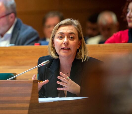 La Diputació insta al Gobierno de España a la aprobación de la ley contra la prostitución y la de violencia vicaria La Diputació insta al Gobierno de España a la aprobación de la ley contra la prostitución y la de violencia vicaria