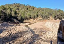 Demanem una reconstrucció de la Dana respectuosa amb el medi ambient Demanem una reconstrucció respectuosa amb el medi ambient