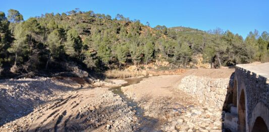 Demanem una reconstrucció respectuosa amb el medi ambient