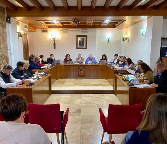 Un ple del Ajuntament