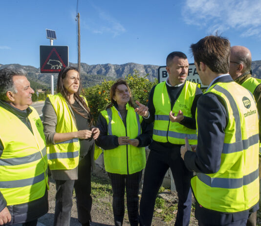 La Diputació assaja a la Safor un sistema intel·ligent que detecta senglars i activa senyals lluminosos per a evitar accidents en les carreteres