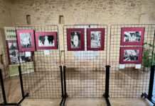 L'exposició de L'ETNO sobre festes valencianes arriba a Rocafort