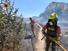 Dol oficial a Manises, foc controlat a Aldaia i talls de trànsit als accessos al Saler són els incendis del cap de setmana Tragedia a las puertas del Camp de Túria: un fallecido y alerta máxima en La Vallesa
