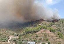 El foc de la Serra Calderona es descontrola i obliga a l’evacuació immediata de Gátova cap al poliesportiu de Bétera El foc de la Serra Calderona es descontrola i obliga a l'evacuació immediata de Gátova cap al poliesportiu de Bétera