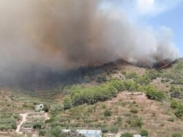 El foc de la Serra Calderona es descontrola i obliga a l’evacuació immediata de Gátova cap al poliesportiu de Bétera El foc de la Serra Calderona es descontrola i obliga a l'evacuació immediata de Gátova cap al poliesportiu de Bétera
