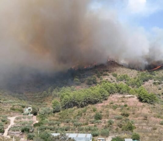 El foc de la Serra Calderona es descontrola i obliga a l'evacuació immediata de Gátova cap al poliesportiu de Bétera