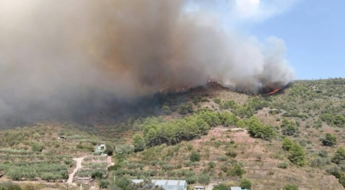 El foc de la Serra Calderona es descontrola i obliga a l'evacuació immediata de Gátova cap al poliesportiu de Bétera El foc de la Serra Calderona es descontrola i obliga a l'evacuació immediata de Gátova cap al poliesportiu de Bétera
