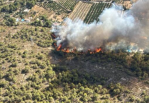 Un incendi forestal a Llíria obliga a evacuar de manera preventiva diverses vivendes a la Canyada Parda abans de ser estabilitzat Un incendi forestal a Llíria obliga a evacuar de manera preventiva diverses vivendes a la Canyada Parda abans de ser estabilitzat