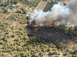 Un incendi forestal a Llíria obliga a evacuar de manera preventiva diverses vivendes a la Canyada Parda abans de ser estabilitzat Un incendi forestal a Llíria obliga a evacuar de manera preventiva diverses vivendes a la Canyada Parda abans de ser estabilitzat