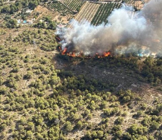 Un incendi forestal a Llíria obliga a evacuar de manera preventiva diverses vivendes a la Canyada Parda abans de ser estabilitzat