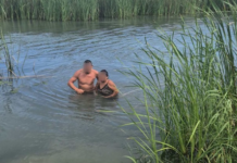 Un agent de la Policia Local de Vilamarxant ha protagonitzat un heroic rescat en extreure de l'aigua una dona que havia sigut arrossegada per la potent corrent del riu Túria al seu pas pel terme municipal. La víctima, que no sabia nadar, es va veure sorpesa pel flux de l'aigua quan s'aproximava a la llera i va patir un atac de pànic que li impedia eixir pels seus propis mitjans. Per a evitar ser arrossegada aigües avall, la dona va aconseguir agafar-se a unes canyes en el centre del riu. Davant la gravetat de la situació i el risc imminent per a la vida de la víctima, l'agent municipal va decidir avançar-se a l'arribada de la resta dels serveis d'emergència. Sense lo pensà-s'ho dos voltes, es va llevar l'uniforme i es va llançar directament a l'aigua per a aconseguir arribar fins al punt on es trobava la dona, qui ja es trobava al límit de les seues forces per la força del cabal. Amb l'ajuda d'una corda de seguretat guiada des de la mearge per un altre agent de la Policia Local i una patrulla de la Guàrdia Civil, l'efectiu va poder assegurar a la víctima i conduir-la fins a una zona segura de la ribera, completant el rescat amb èxit abans que la corrent la desamparrara.