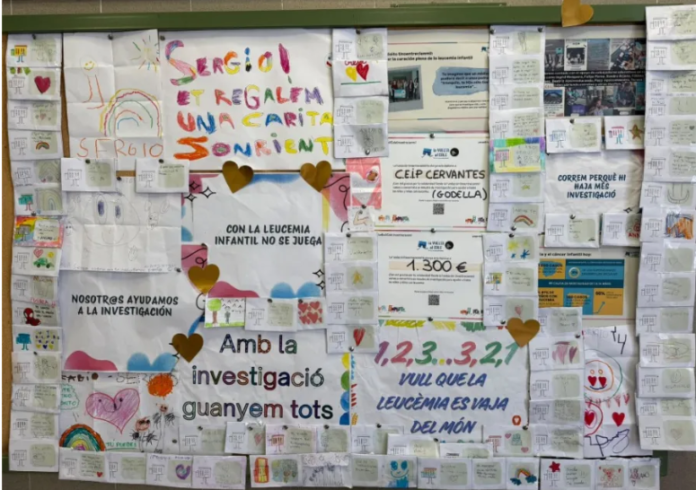 El CEIP Cervantes de Godella recapta 1.300 euros per a impulsar la investigació contra la leucèmia infantil